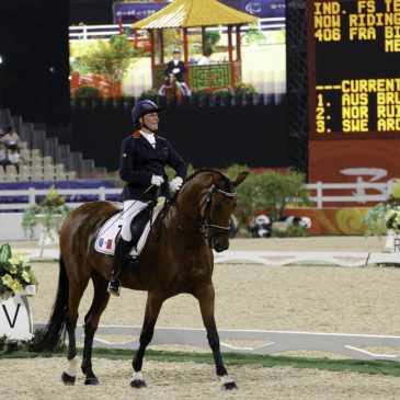Jeux Equestres Mondiaux J-100
